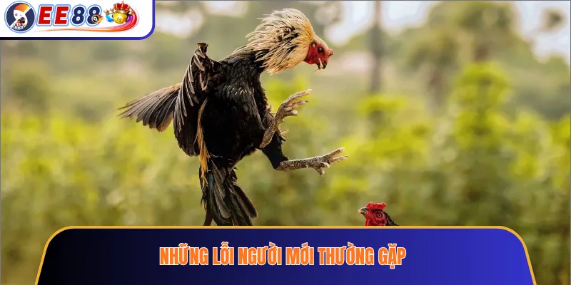 Những lỗi người mới thường gặp