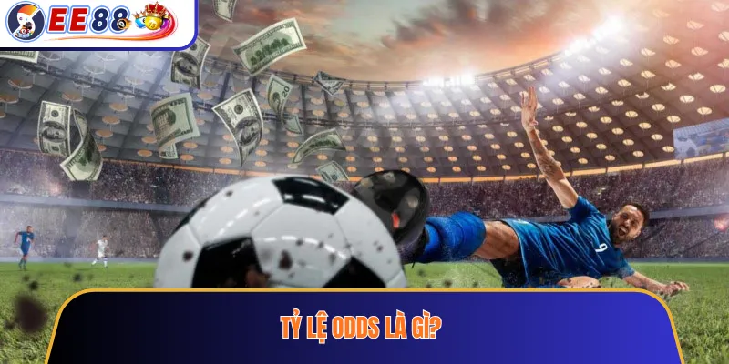 Tỷ lệ odds là gì?